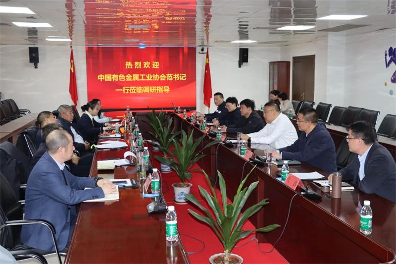 中国有色金属工业协会党委副书记范顺科一行莅临大发国际铝业调研