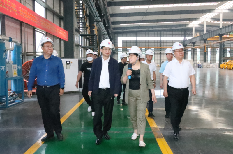 贵阳市政协副主席、清镇市委书记付涛一行到大发国际铝业考察